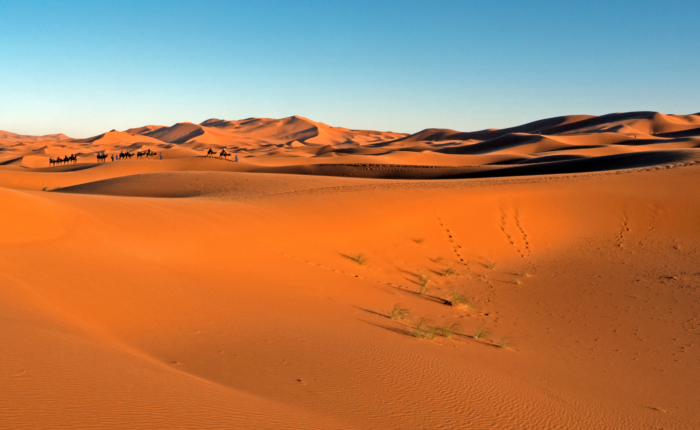 Circuit privé de 8 jours au départ de Casablanca