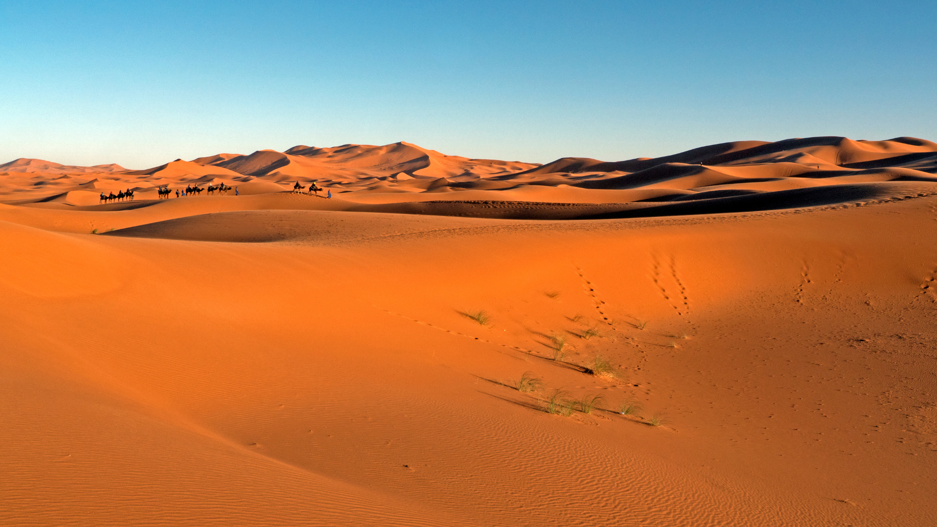 Circuit privé de 8 jours au départ de Casablanca